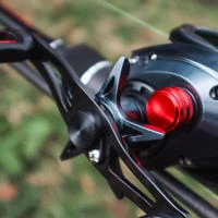 Zebco Demonic Baitcast 150 LHW